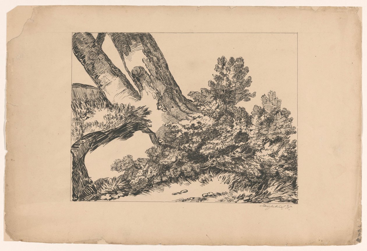 Vegetation Under a Tree by Isaac Weissenbruch