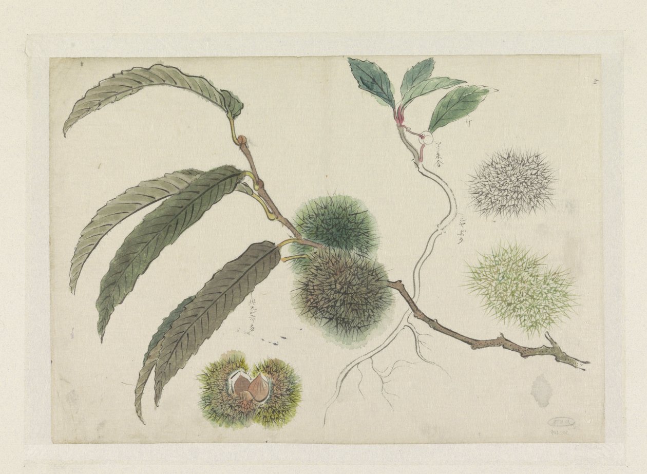 Sweet Chestnuts on a Branch by Ishikawa Kazan