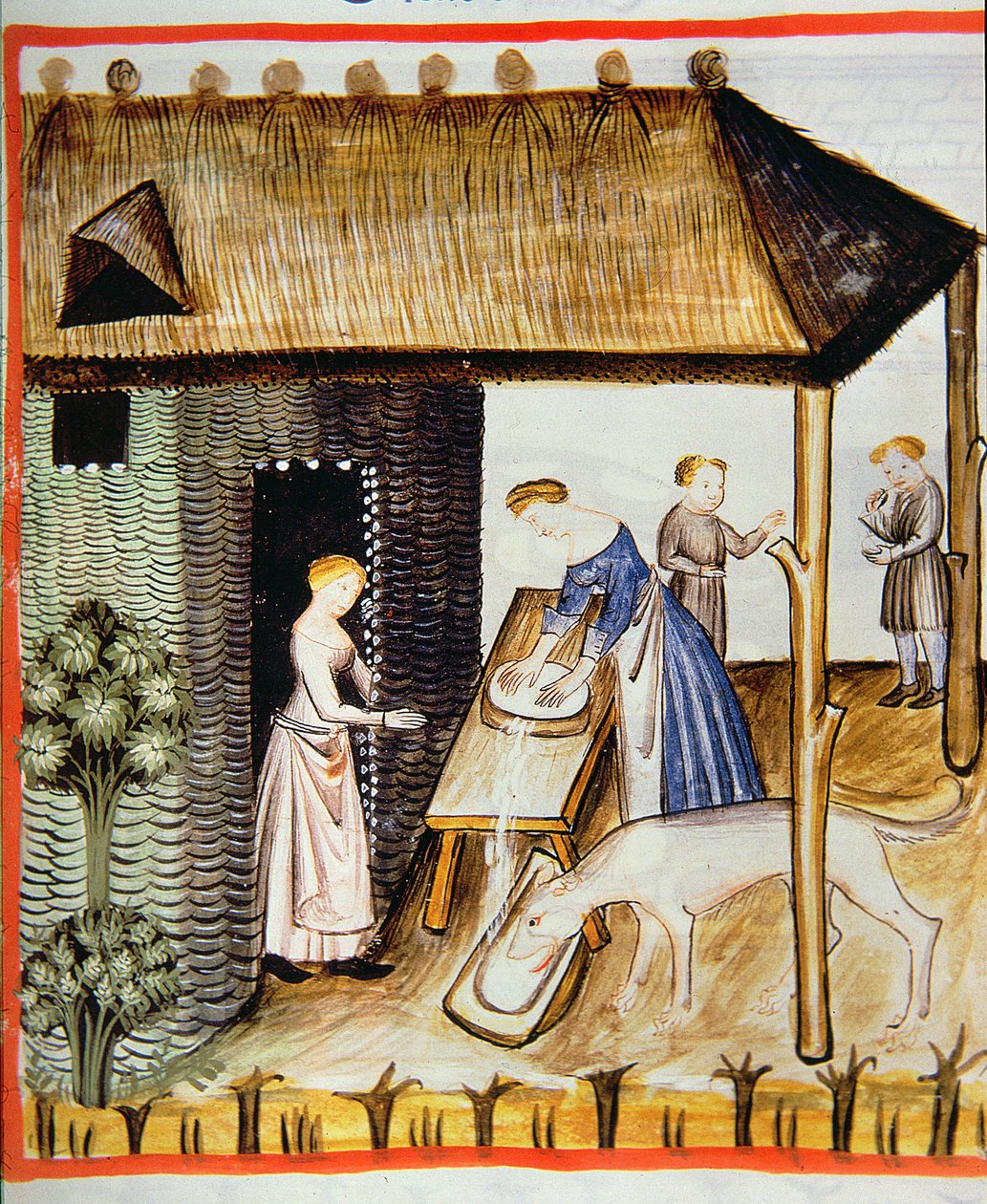 Preparation of fresh cheese, from Tacuinum Sanitatis by Italian School