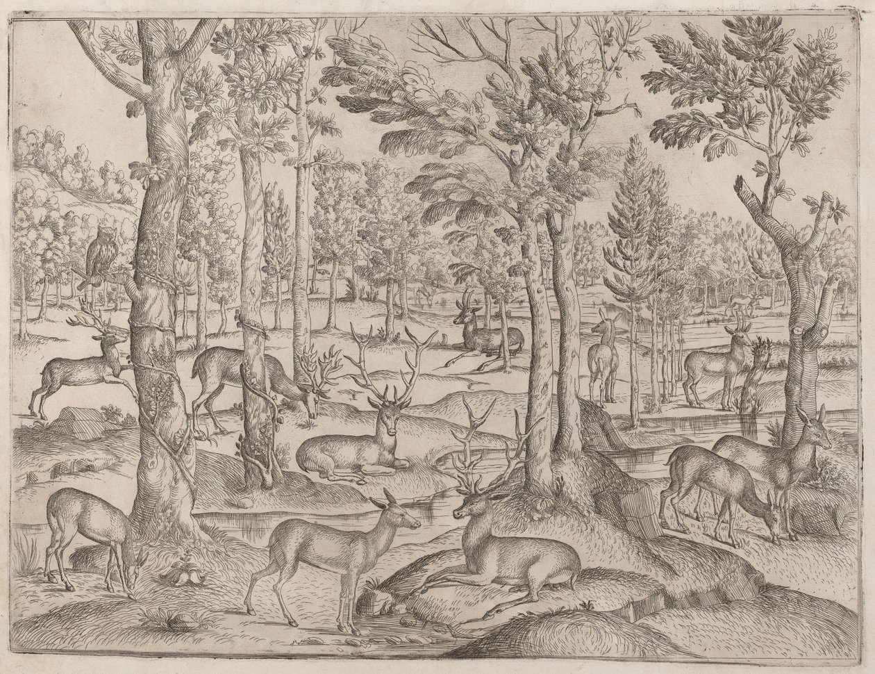 Deer in the Forest by Italian 16th Century