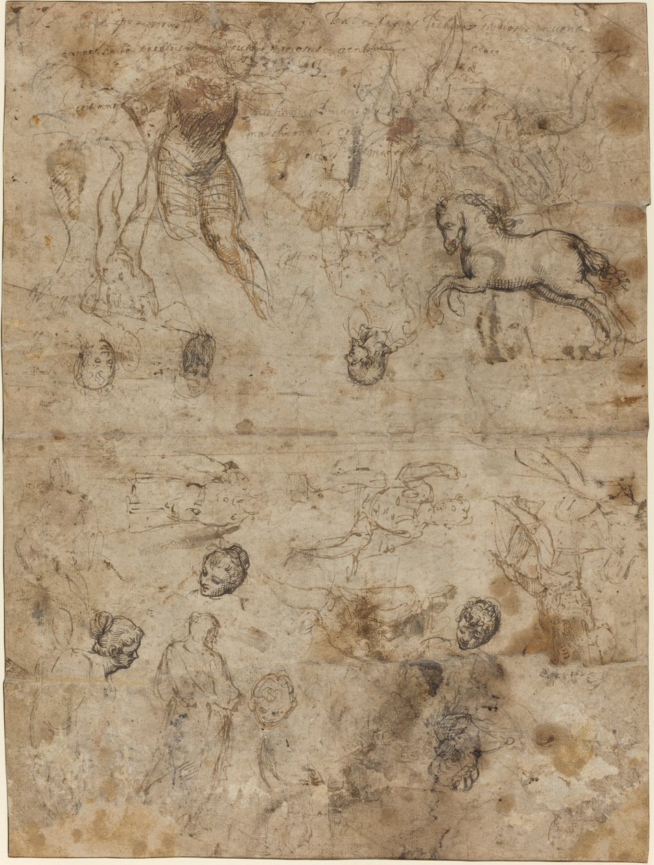 Sheet of Studies by Italian 16th Century