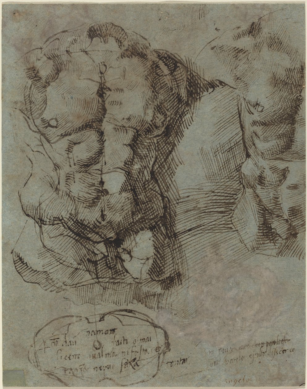 Studies of a Male Torso by Italian 16th Century