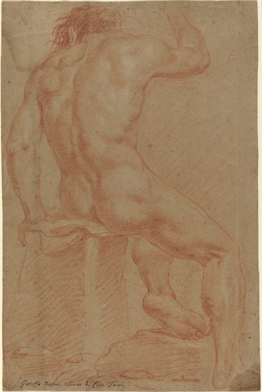 Nude Male Figure (recto) by Italian 17th Century