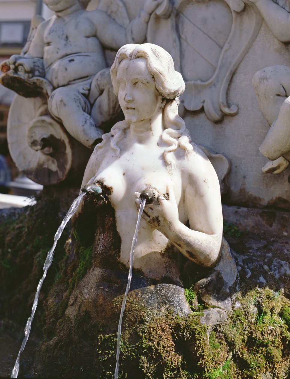 Fountain by Italian School