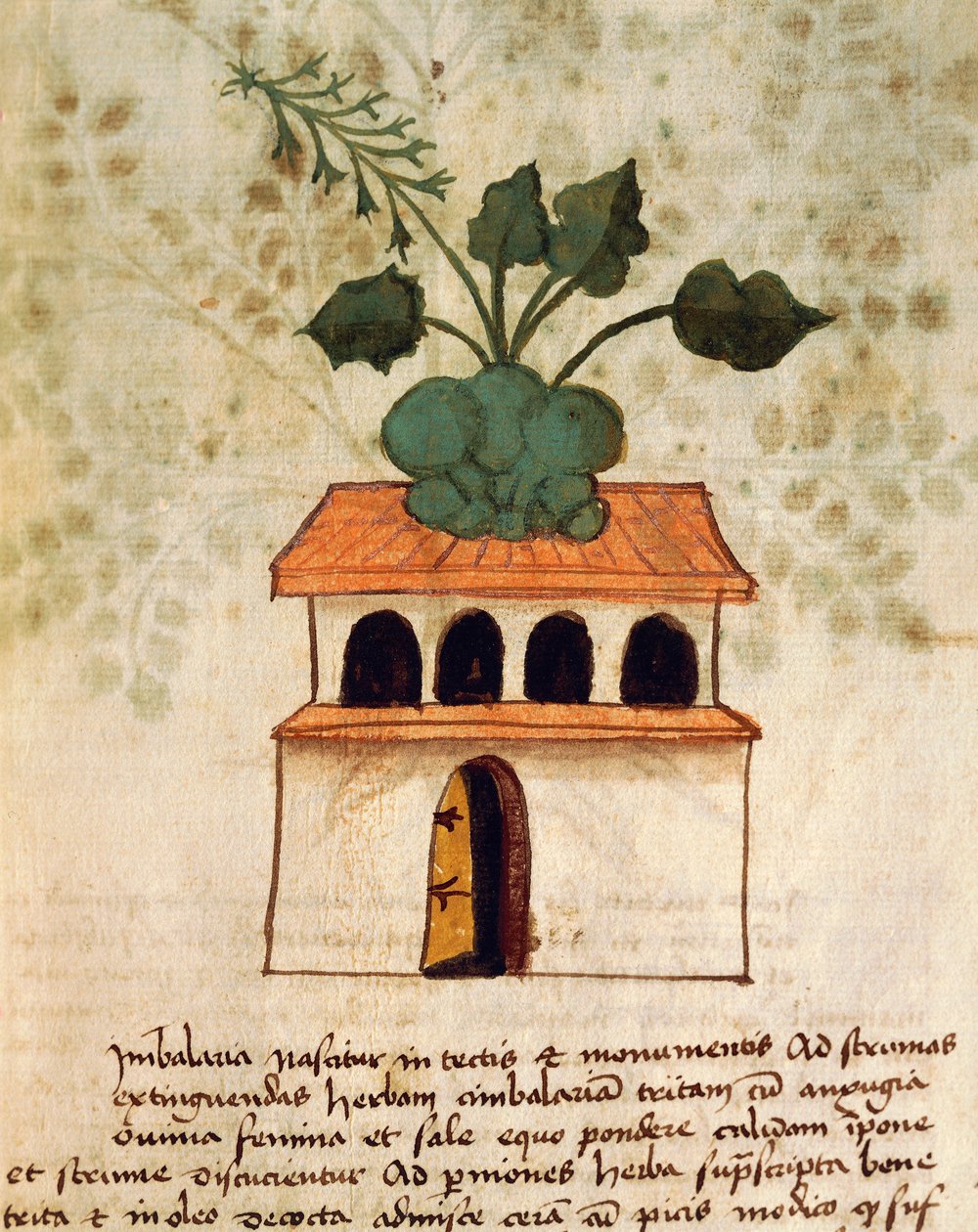 Hanging garden by Italian School