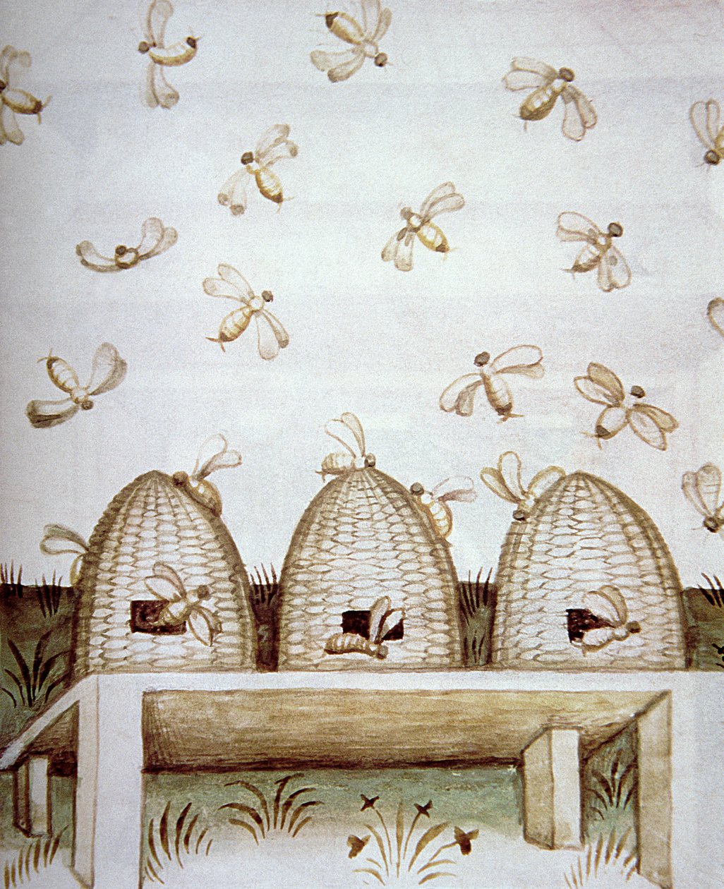 Beehives, from Tacuinum Sanitatis by Italian School