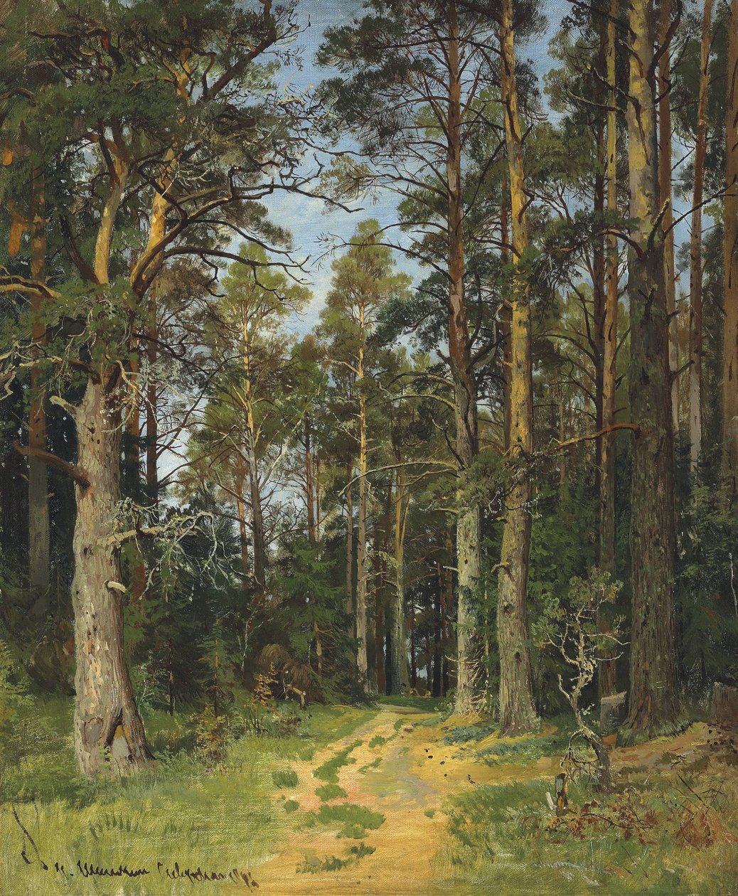 Siverskaya by Ivan Ivanovich Shishkin