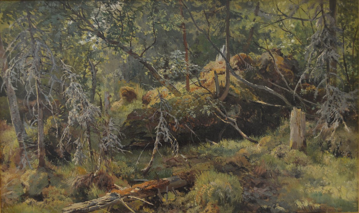Branches. A Study by Ivan Ivanovich Shishkin