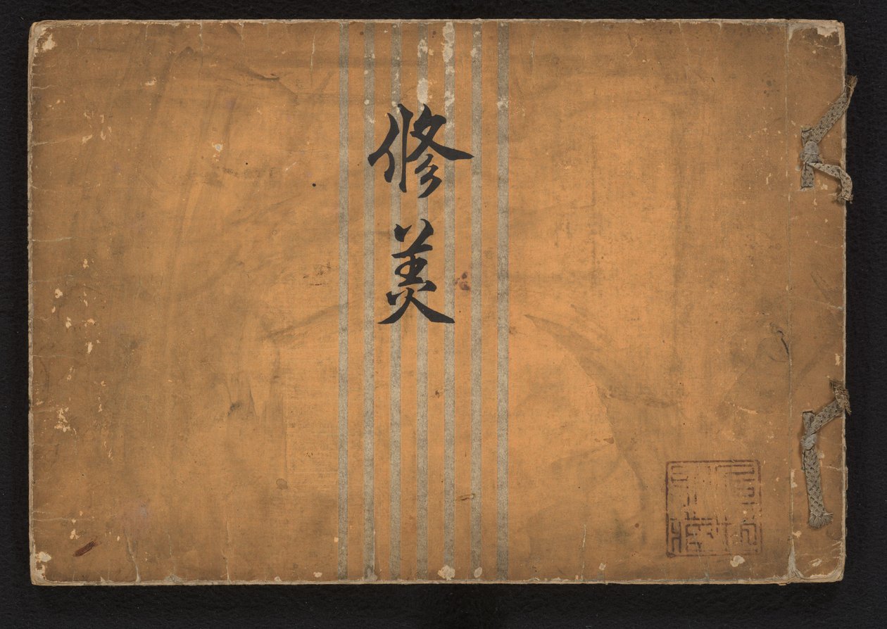 Study of Beauty by Iwasaki Shôun