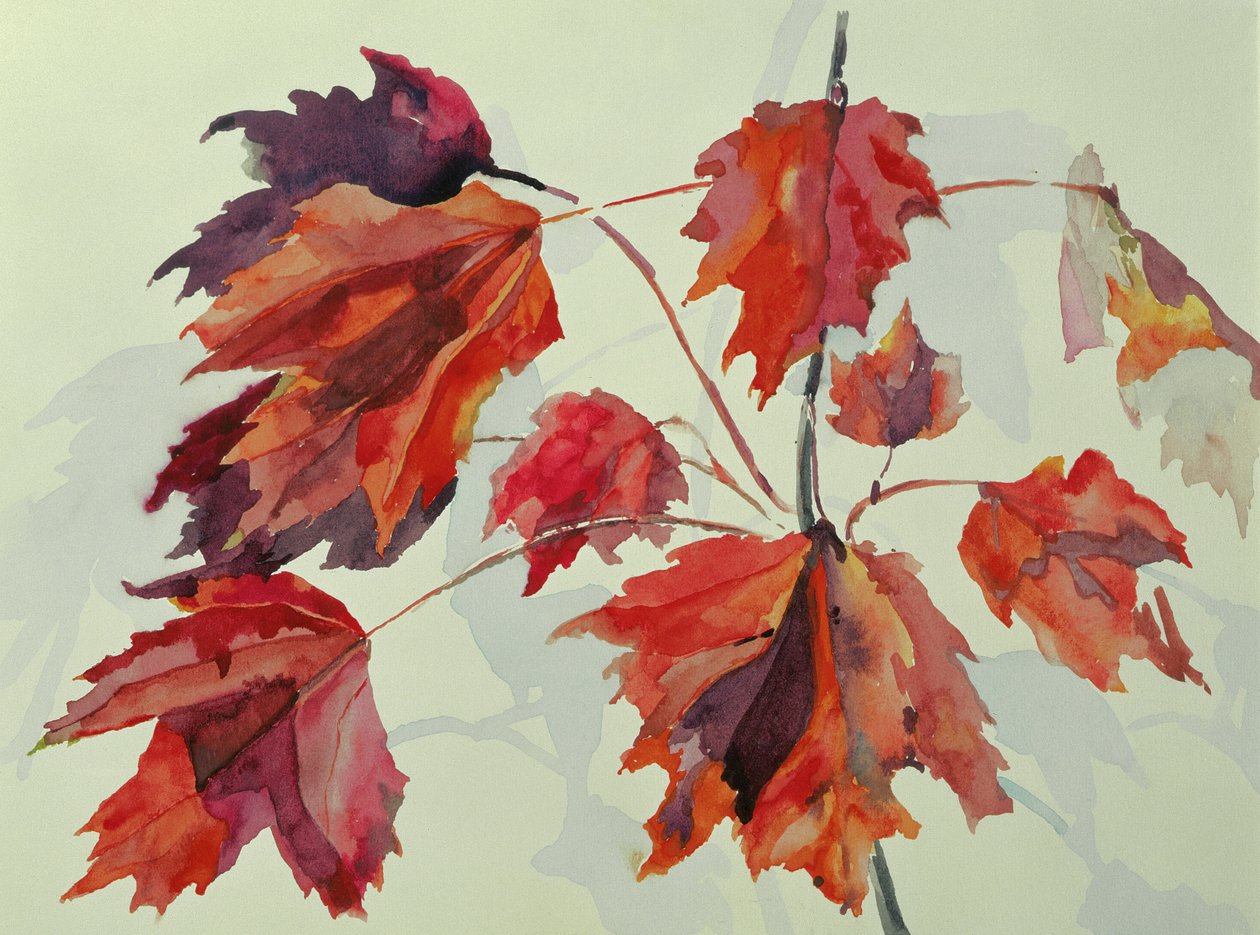 No.24 Autumn Maple Leaves by Izabella Godlewska de Aranda