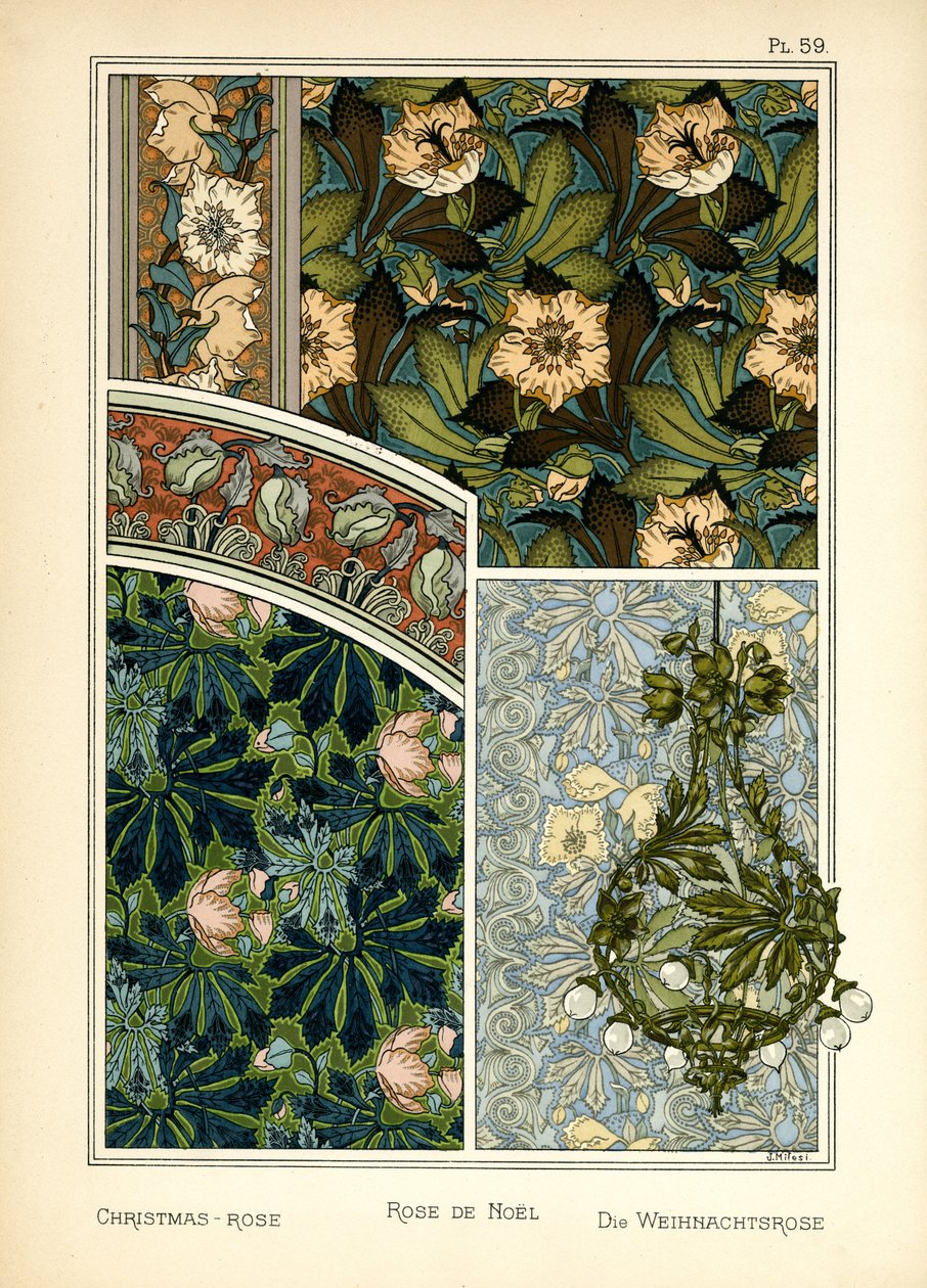The Christmas Rose by J. Milesi