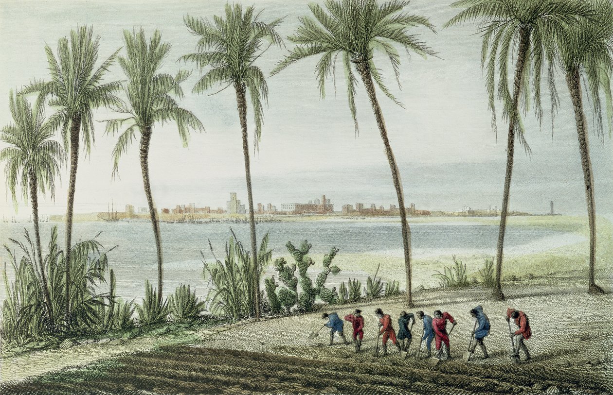 General View of Cadiz, engraved by John Pye by J. Taylor