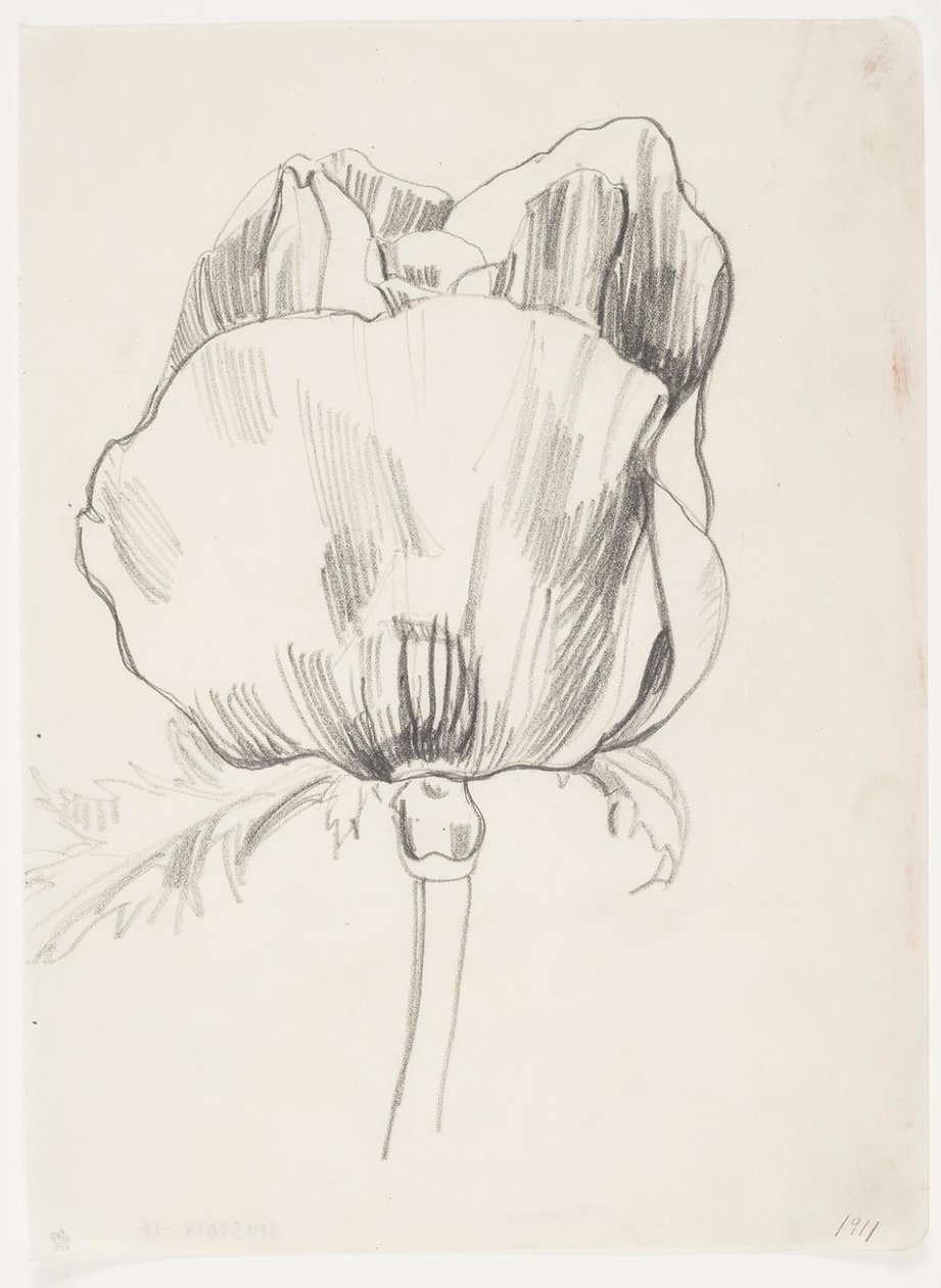 Poppy by J.A. Jerichau