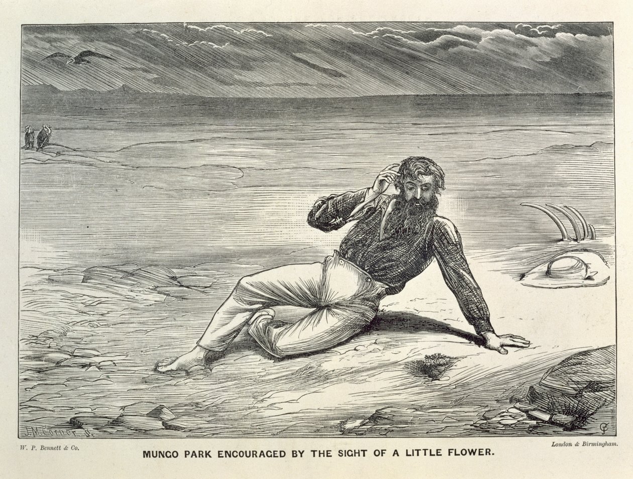 Mungo Park Encouraged by the Sight of a Little Flower by J.M. Corner