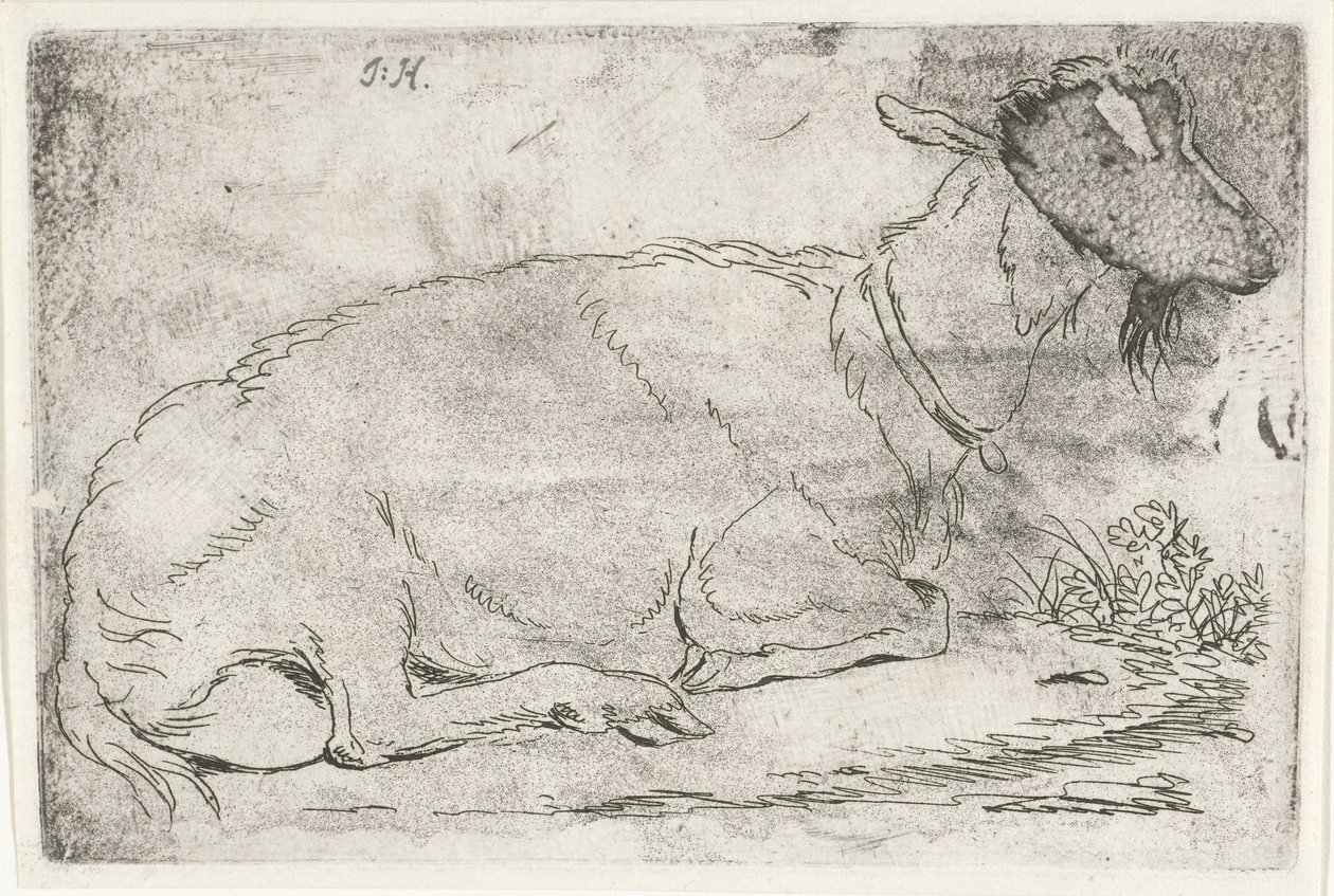 Lying Goat by Jabes Heenck (signed by artist)