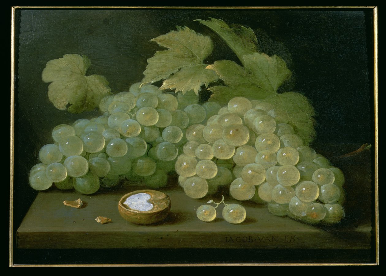 Grapes with half a walnut by Jacob  Foppens van Es