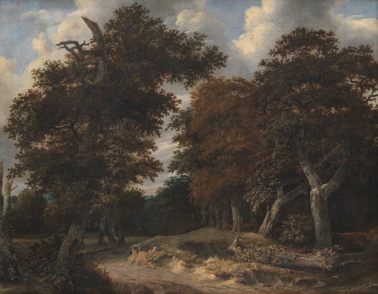 Road through an Oak Forest by Jacob van Ruisdael