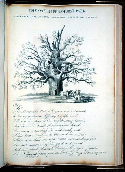 The Oak in Penshurst Park by Jacob George Strutt