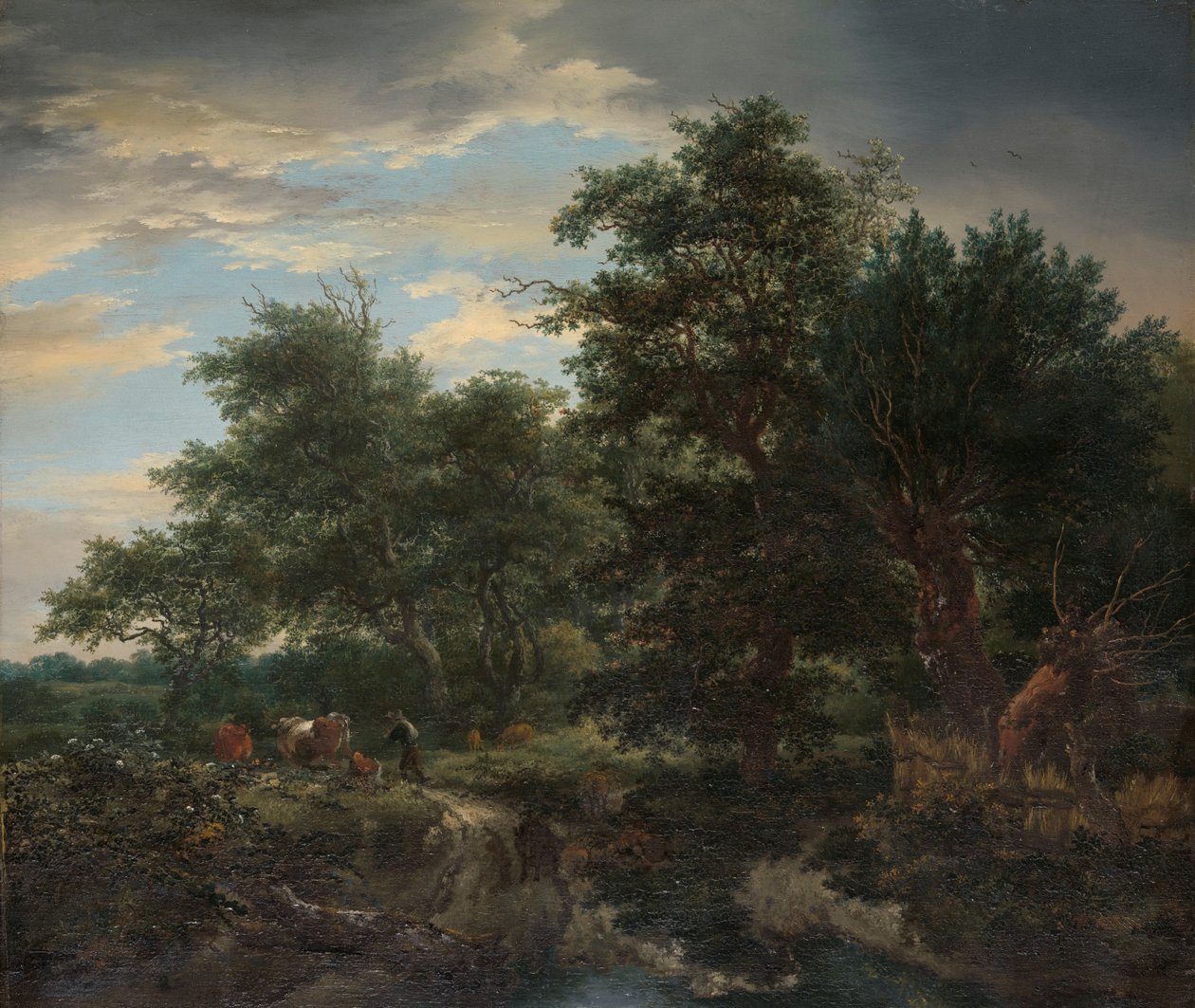 Forest Scene by Jacob van Ruisdael