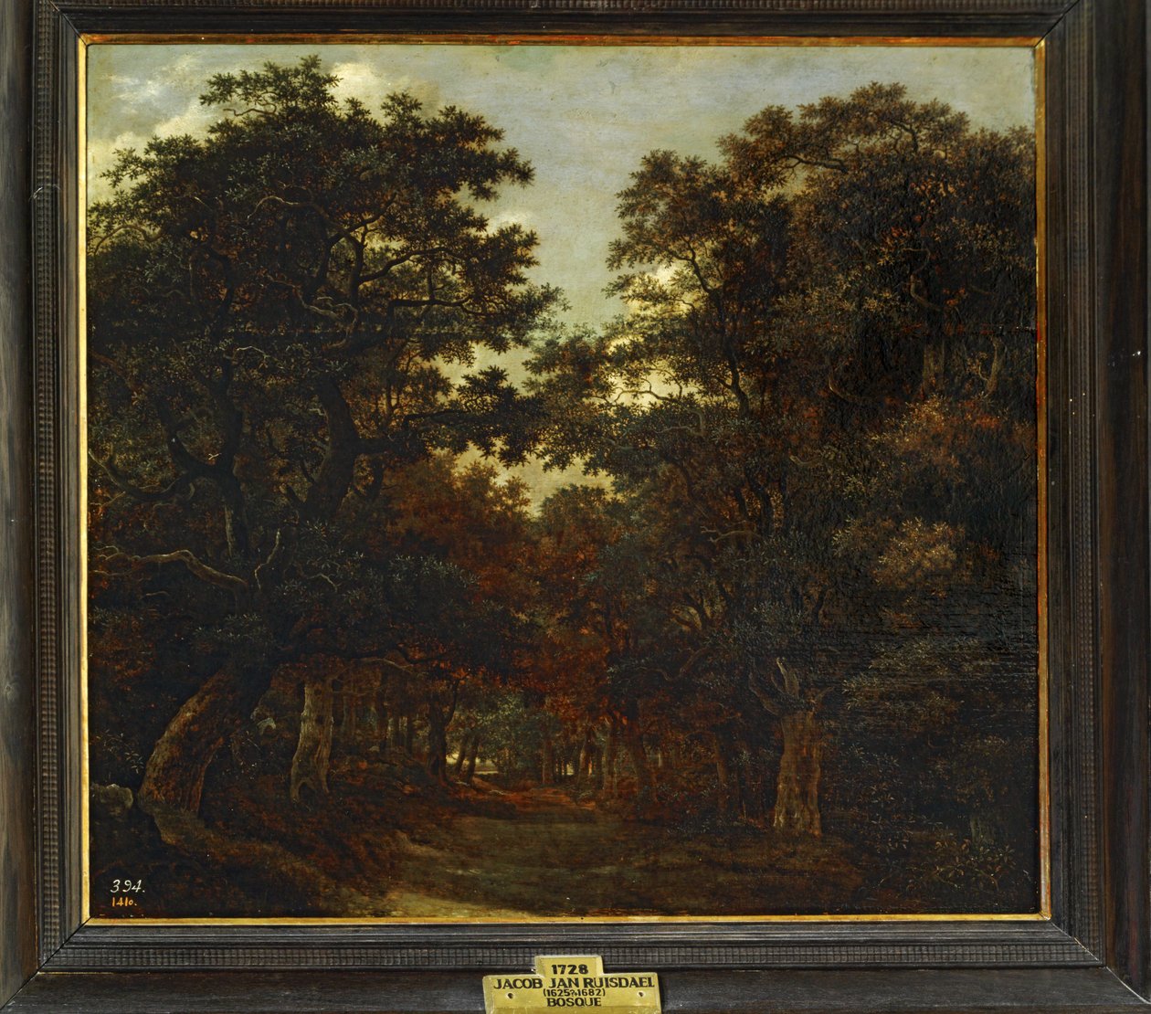 Forest by Jacob Isaaksz. or Isaacksz. van Ruisdael
