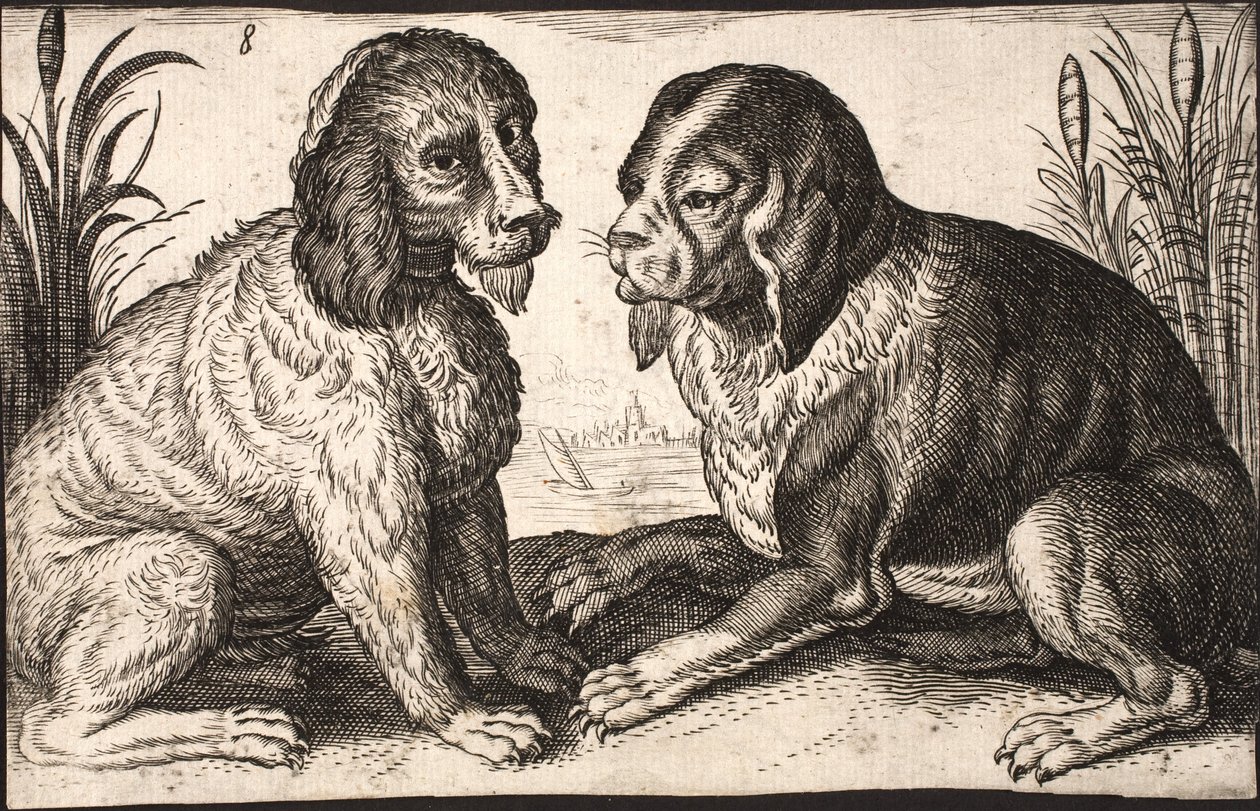 Two dogs by a lakeside by Jacob Matham