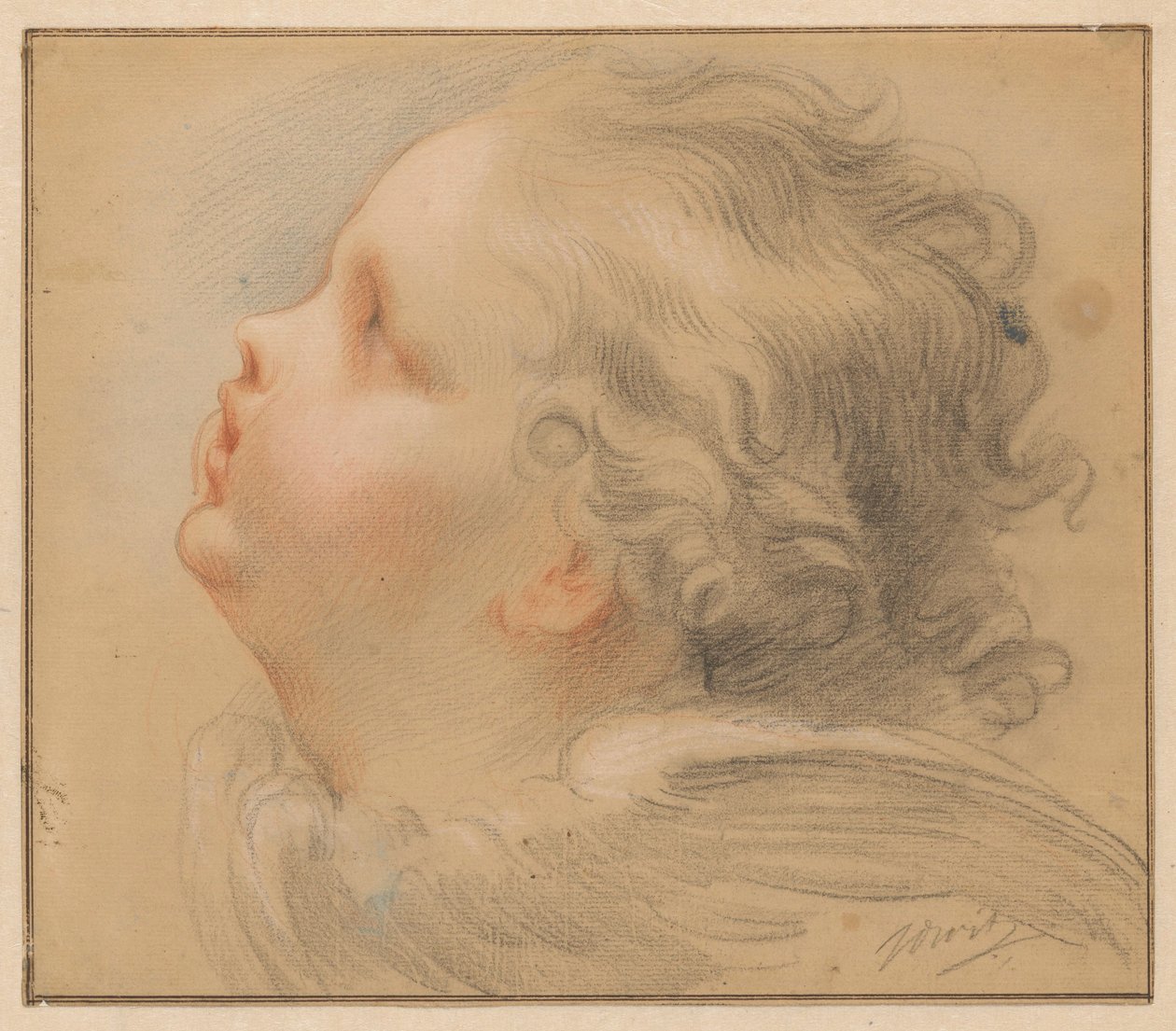 Head of a Cherub, Facing Left by Jacob de Wit