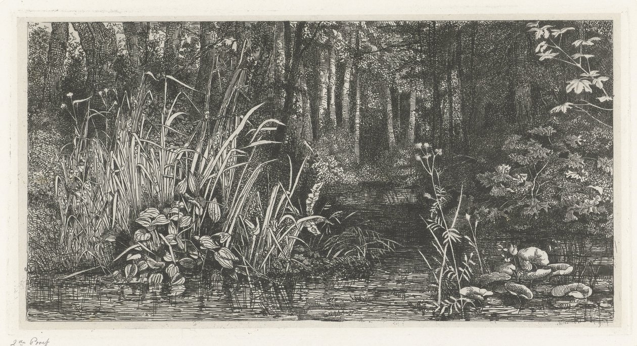 Forest Brook by Jacobus Ludovicus Cornet