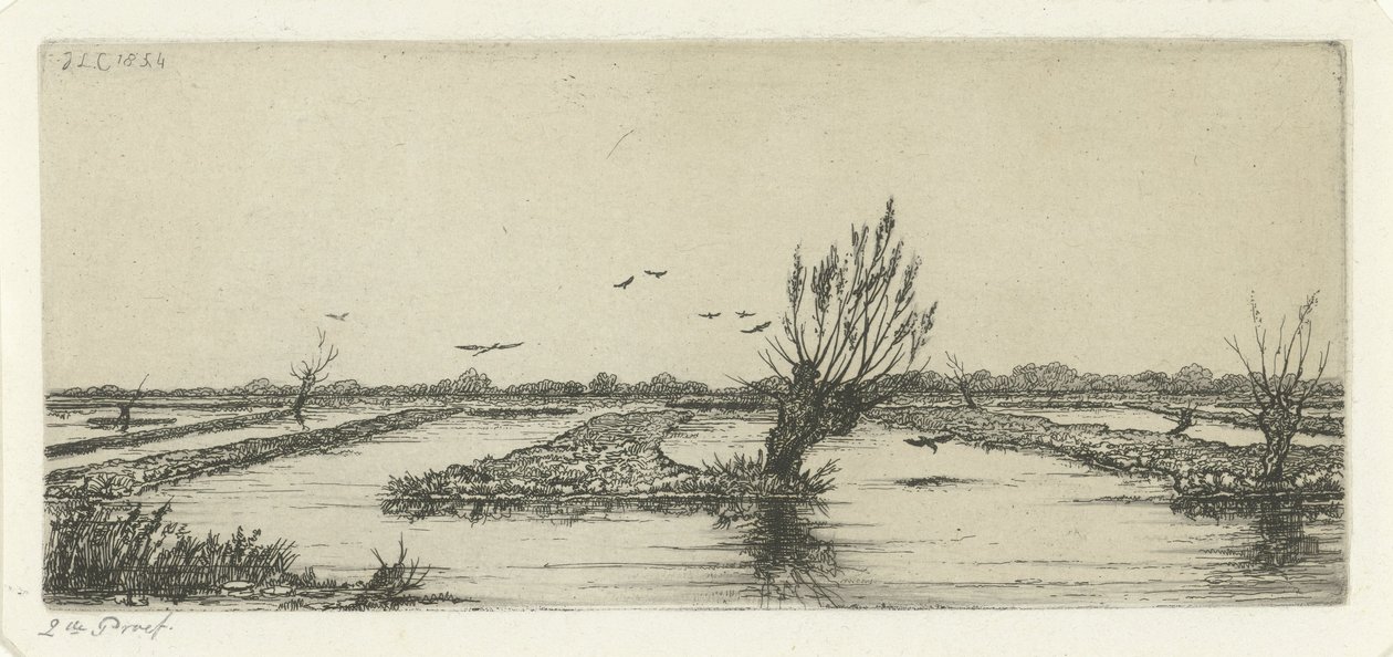 Peat Bog by Jacobus Ludovicus Cornet