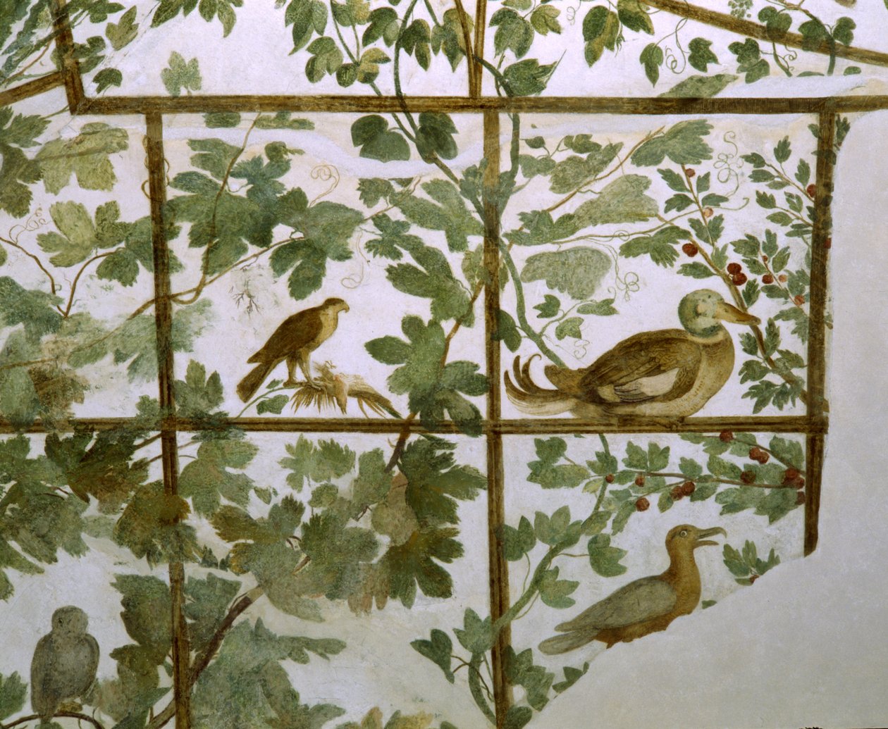 Fresco of an Aviary in the Villa Medici by Jacopo Zucchi