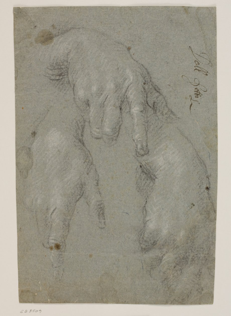 Three Studies of a Right Hand by Jacopo Palma
