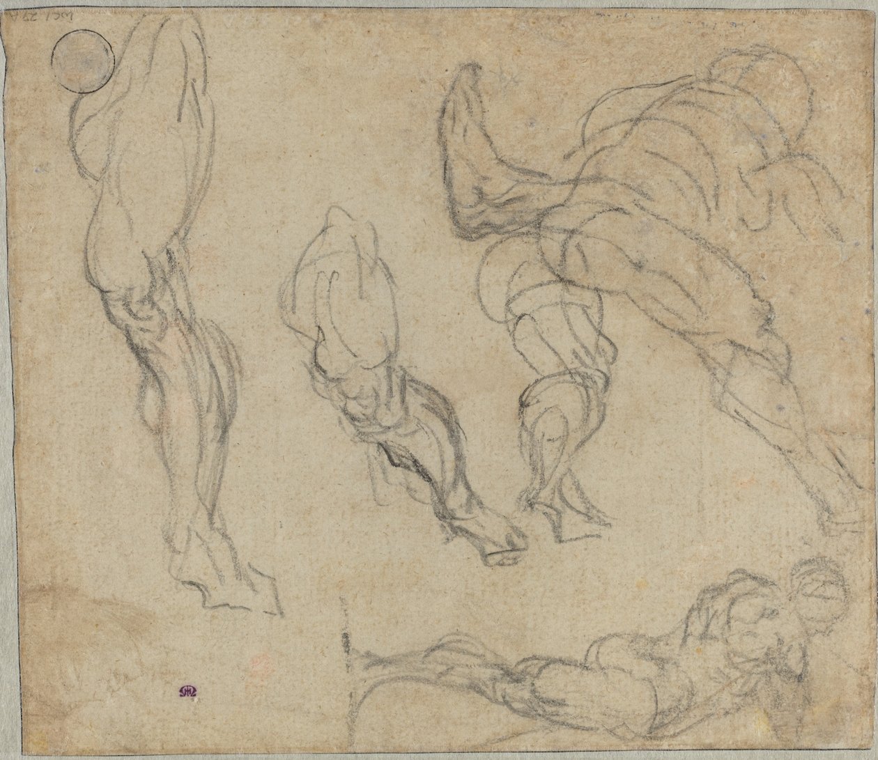 Figures and Legs (verso) by Jacopo Tintoretto