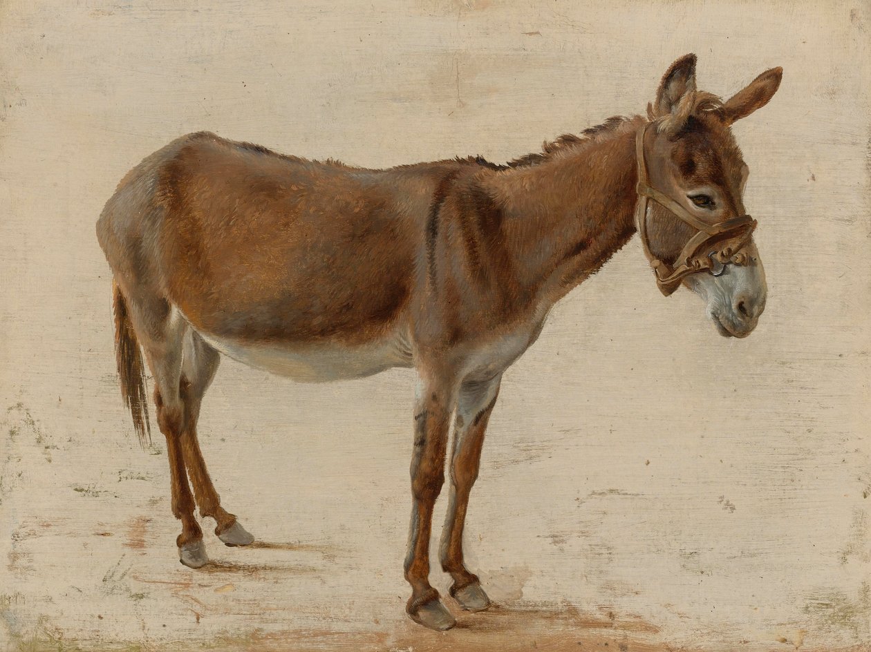A Donkey by Jacques Laurent Agasse