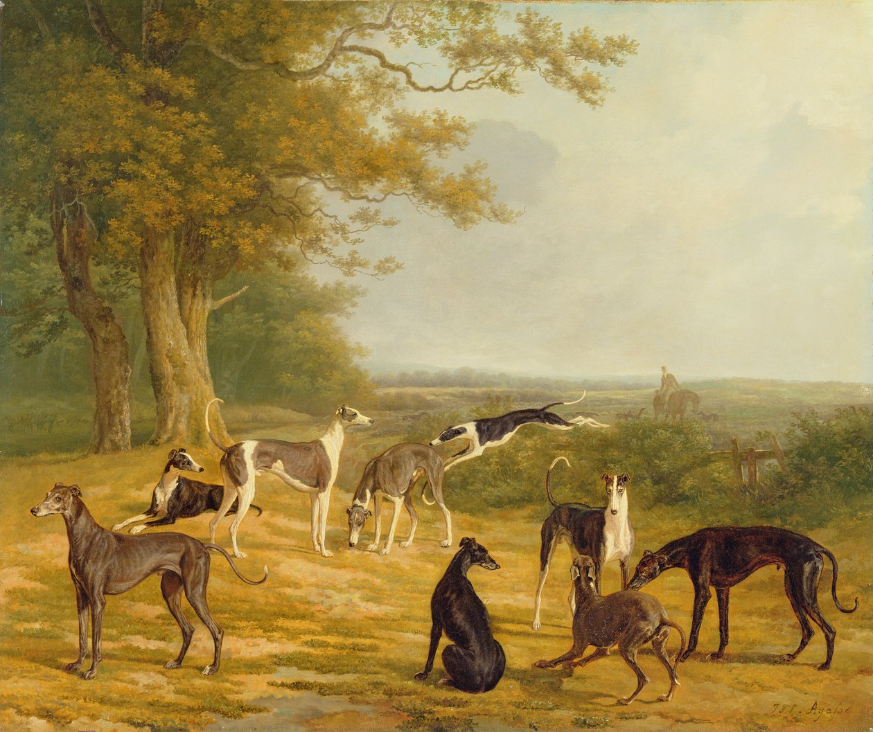 Nine Greyhounds in a Landscape by Jacques Laurent Agasse