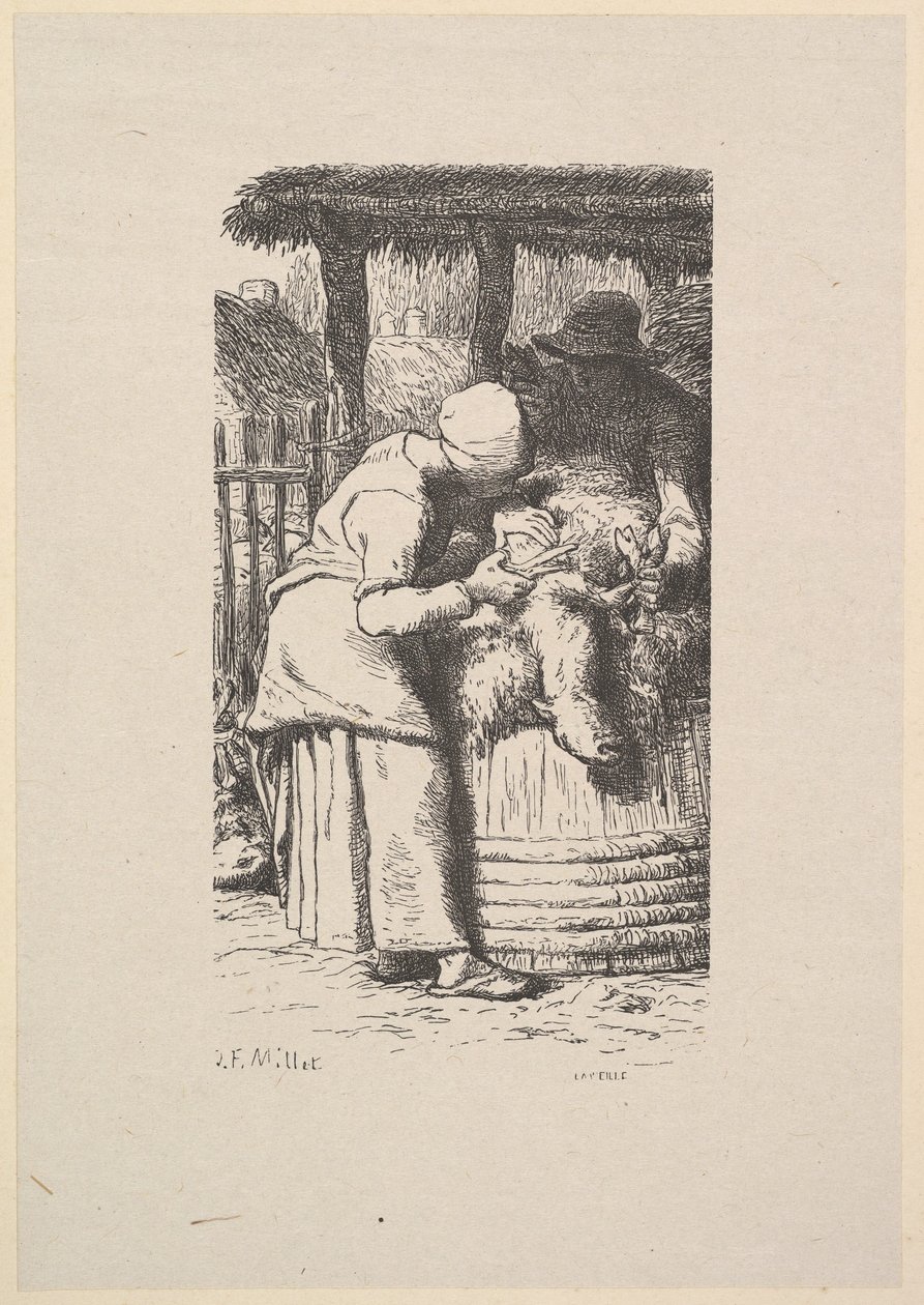 Sheepshearing by Jacques Adrien Lavieille
