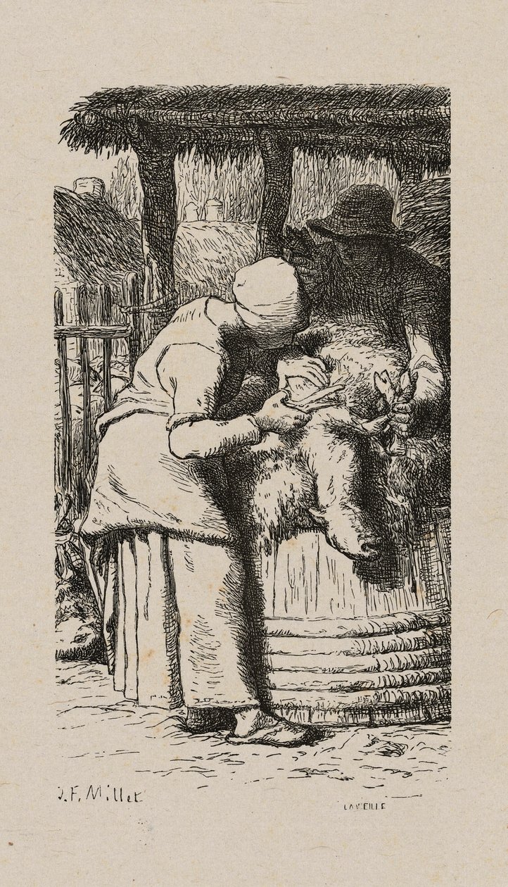 Woman Shearing Sheep by Jacques Adrien Lavieille