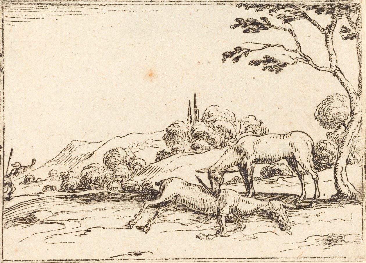 Doe Mourning her Foal by Jacques Callot
