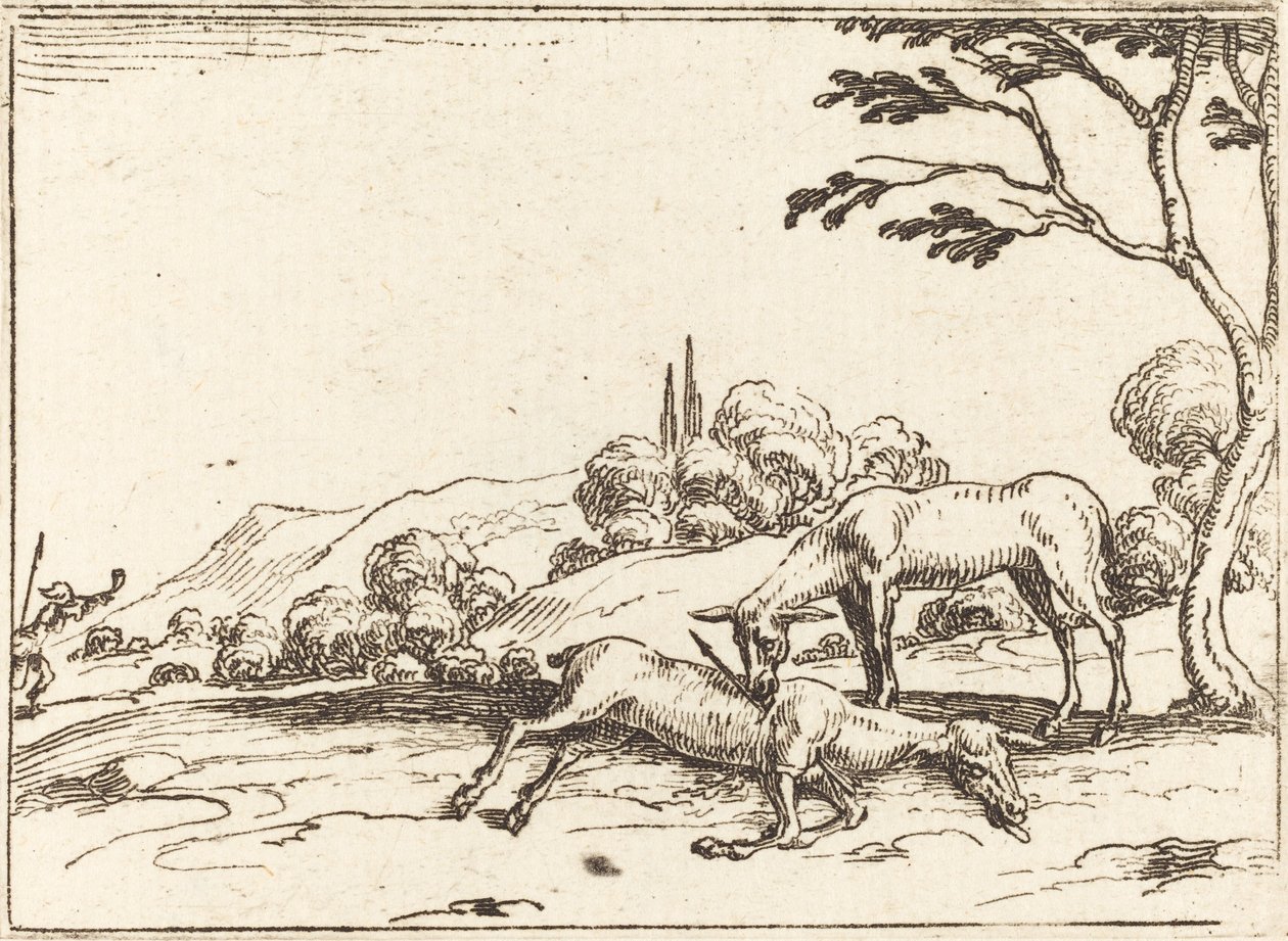 Doe Mourning her Foal by Jacques Callot