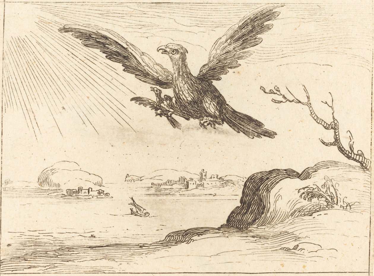 Eagle and Young by Jacques Callot