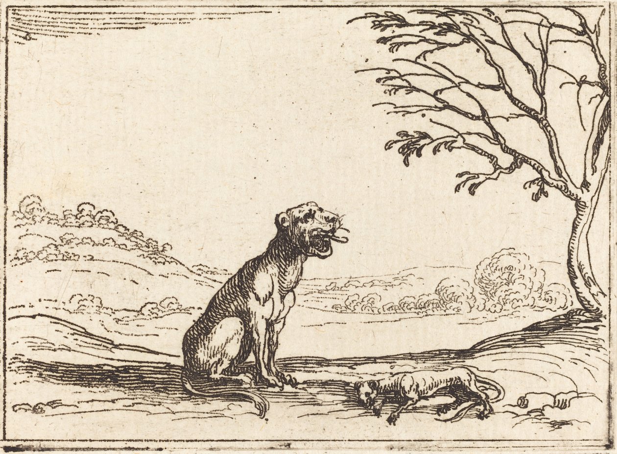 Lioness Mourning her Cub by Jacques Callot
