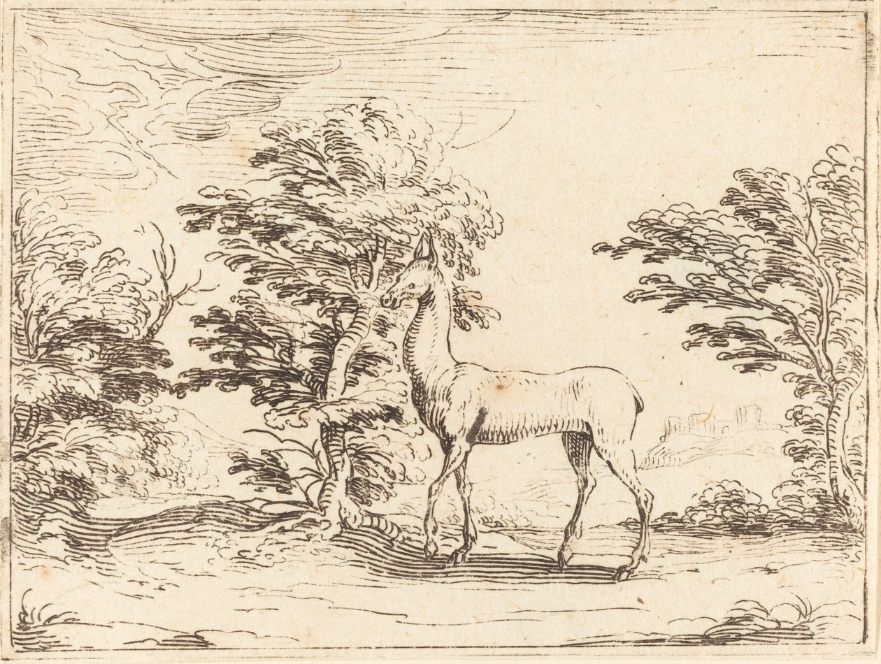 The Doe by Jacques Callot