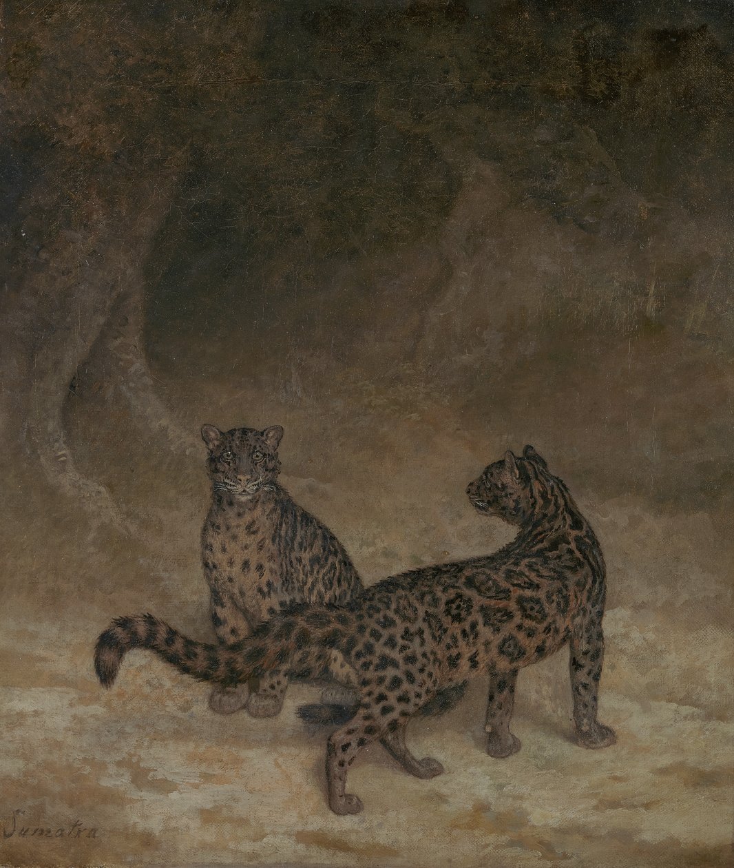 Clouded Leopards, c.1825 by Jacques Laurent Agasse