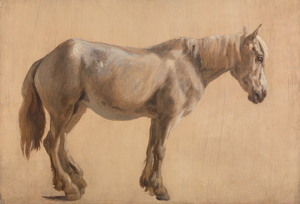 Study of a Grey Horse by Jacques Laurent Agasse