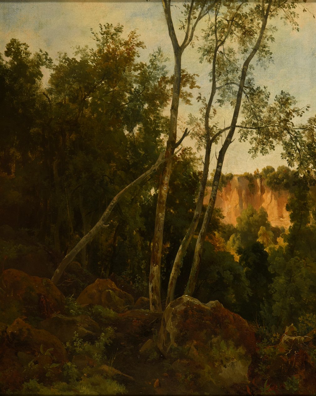 Forest with Rocks by Jacques Raymond Brascassat