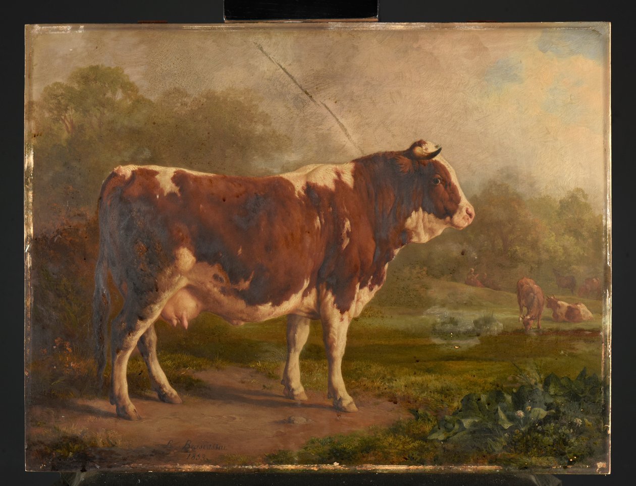 Cow with White and Red Coat by Jacques Raymond Brascassat