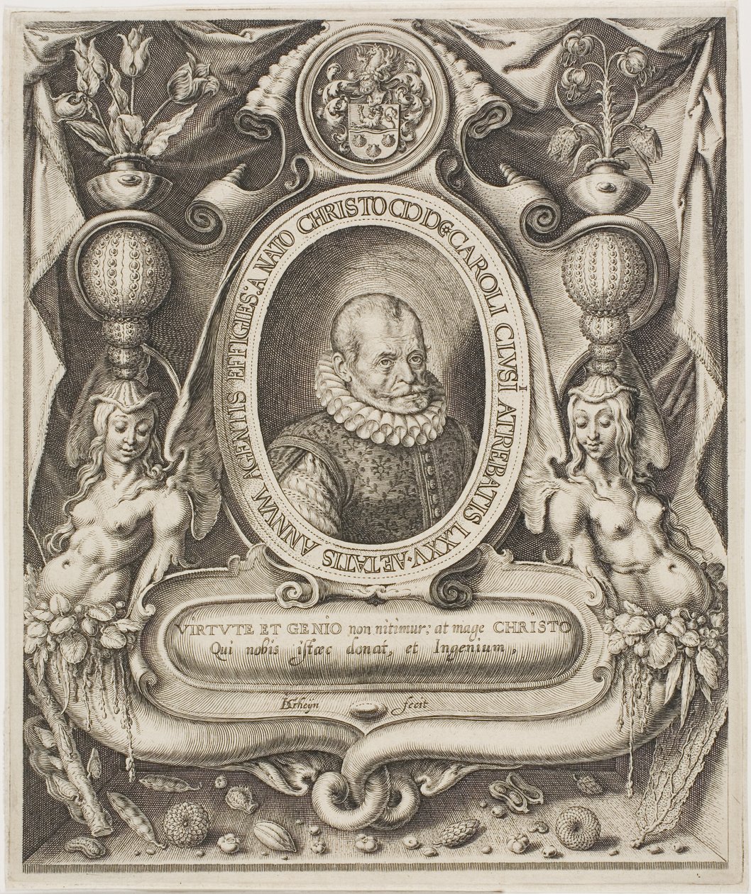 Carolus Clusius by Jacques de Gheyn II