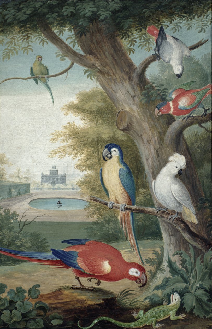 Parrots and a Lizard in a Picturesque Park by Jakob Bogdani or Bogdany