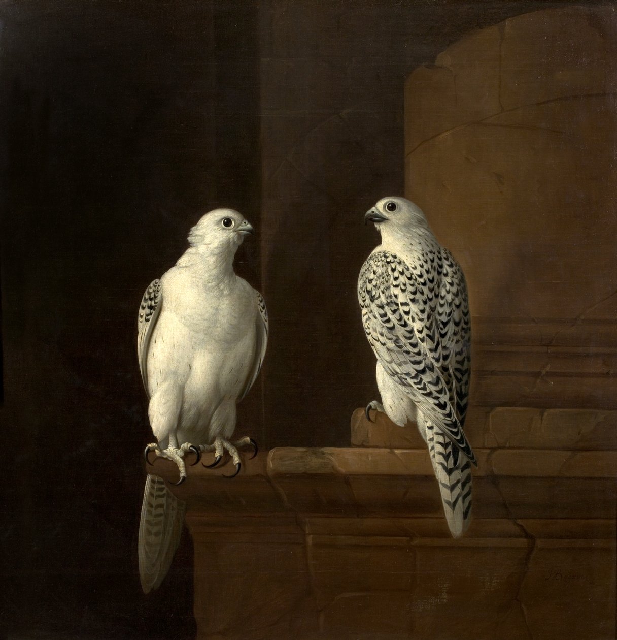 Two Iceland Falcons by Jakob Bogdani or Bogdany
