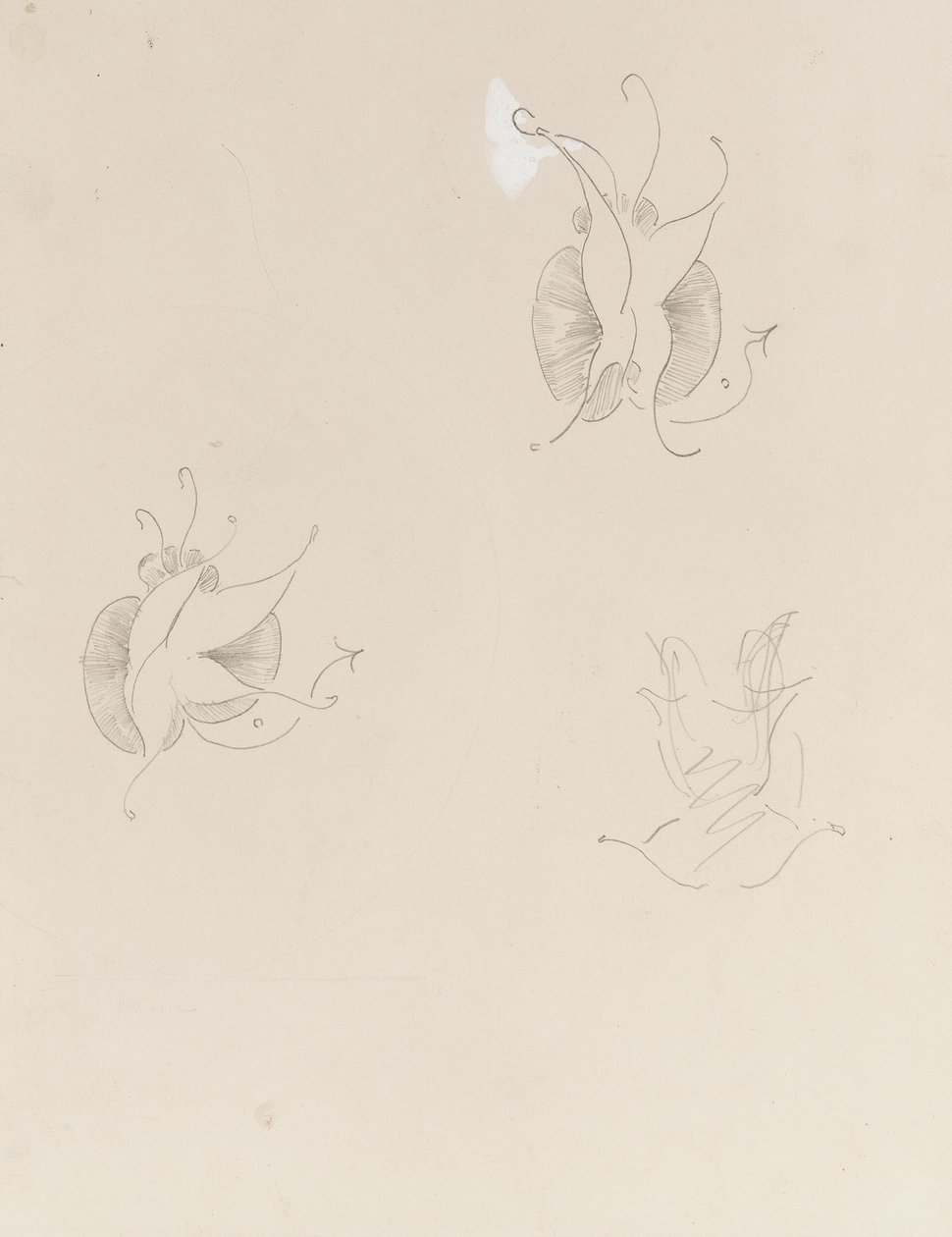 Two Whistler Butterflies and a destroyed sketch by James Abbott McNeill Whistler
