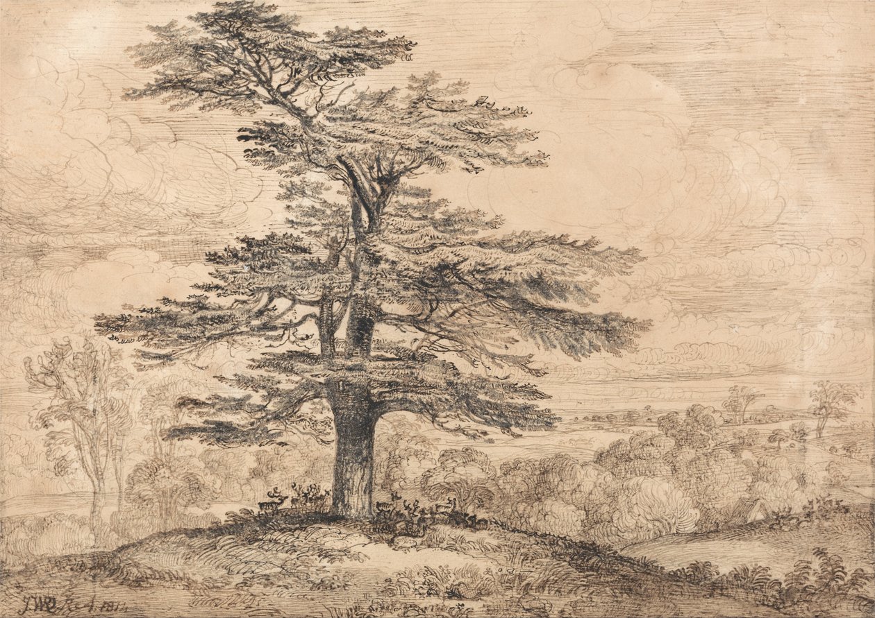 A Cedar on a Rise with a Herd of Deer Grouped Beneath its Shade by James Ward