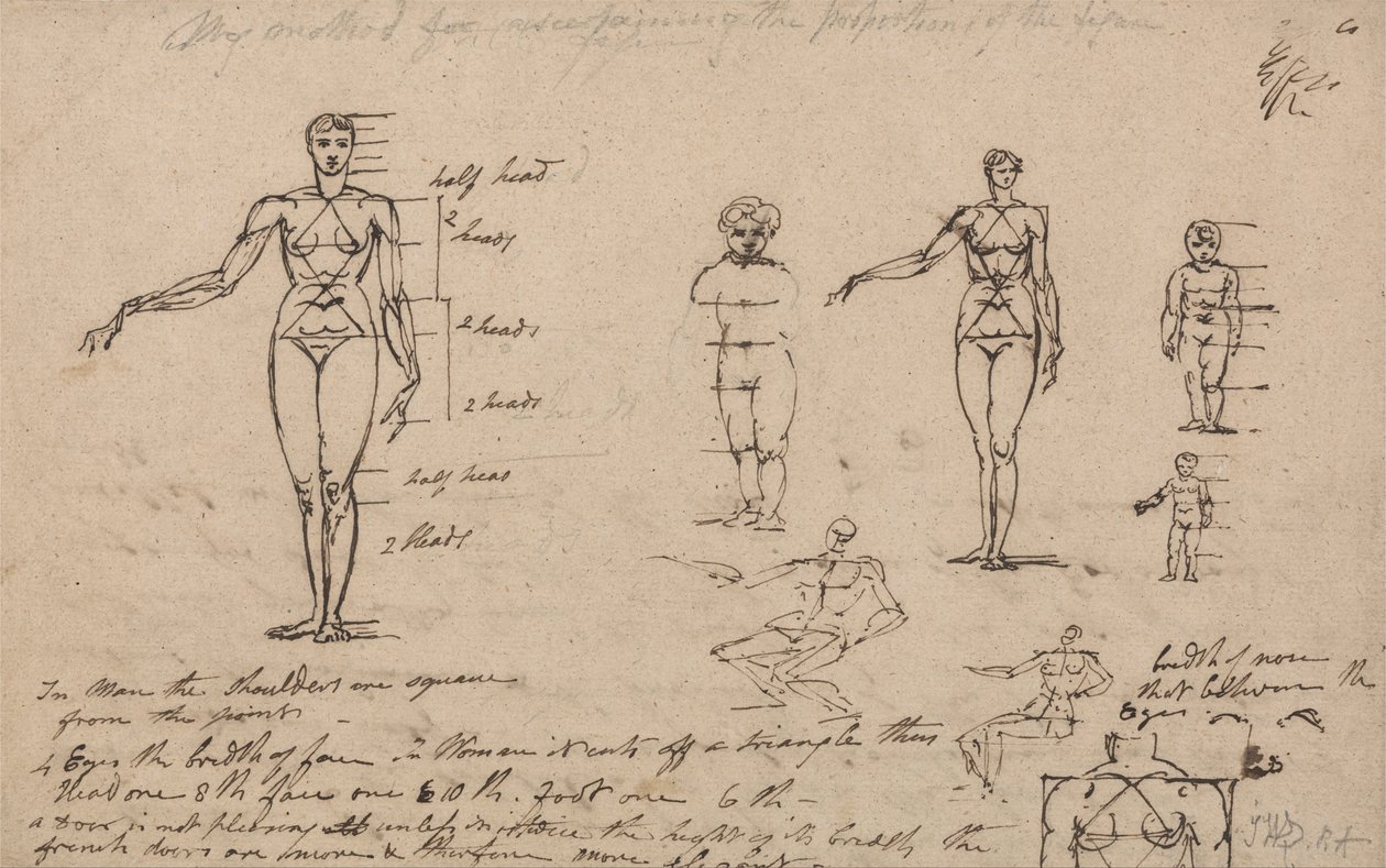Studies of Anatomy, Measurements and Writing by James Ward